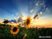 合肥族云信息科技有限公司