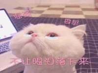 合肥族云信息科技有限公司
