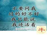 合肥族云信息科技有限公司
