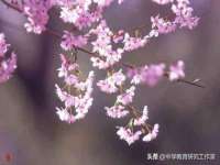 合肥族云信息科技有限公司