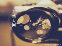 合肥族云信息科技有限公司