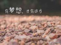 合肥族云信息科技有限公司