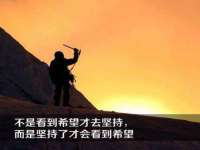合肥族云信息科技有限公司