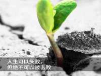 合肥族云信息科技有限公司