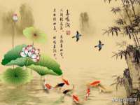 合肥族云信息科技有限公司