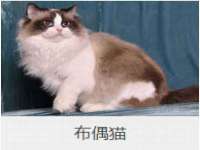 合肥族云信息科技有限公司