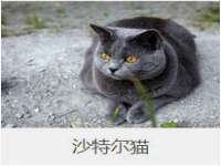 合肥族云信息科技有限公司