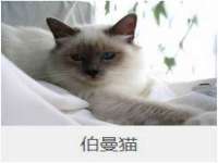 合肥族云信息科技有限公司
