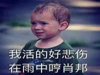合肥族云信息科技有限公司