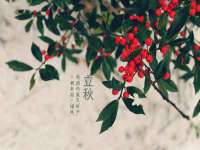 合肥族云信息科技有限公司