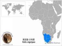 合肥族云信息科技有限公司