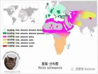 合肥族云信息科技有限公司