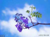 合肥族云信息科技有限公司