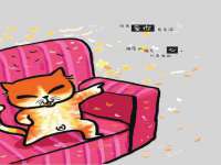 合肥族云信息科技有限公司