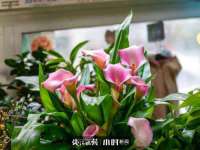 合肥族云信息科技有限公司