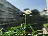 合肥族云信息科技有限公司