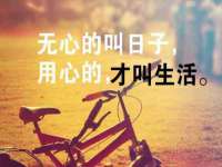 合肥族云信息科技有限公司
