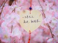 合肥族云信息科技有限公司