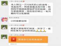 合肥族云信息科技有限公司