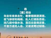 合肥族云信息科技有限公司