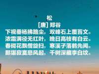 合肥族云信息科技有限公司