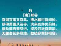 合肥族云信息科技有限公司