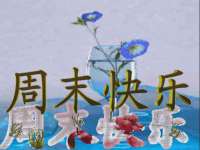 合肥族云信息科技有限公司