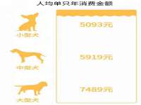 合肥族云信息科技有限公司