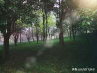 合肥族云信息科技有限公司