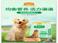 合肥族云信息科技有限公司