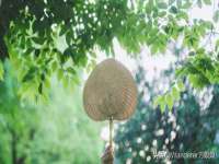 合肥族云信息科技有限公司