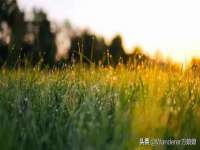 合肥族云信息科技有限公司