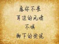 合肥族云信息科技有限公司