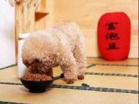 合肥族云信息科技有限公司