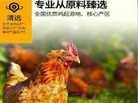 合肥族云信息科技有限公司