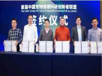 合肥族云信息科技有限公司