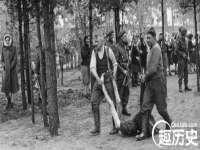 合肥族云信息科技有限公司