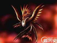合肥族云信息科技有限公司