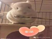 合肥族云信息科技有限公司