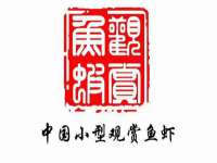合肥族云信息科技有限公司