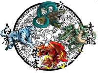 合肥族云信息科技有限公司