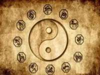 合肥族云信息科技有限公司