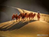合肥族云信息科技有限公司