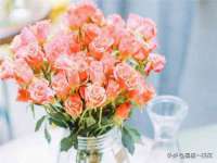 合肥族云信息科技有限公司