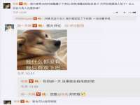 合肥族云信息科技有限公司