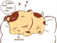 合肥族云信息科技有限公司