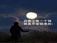 合肥族云信息科技有限公司