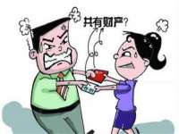 合肥族云信息科技有限公司