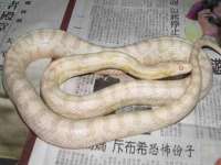 合肥族云信息科技有限公司