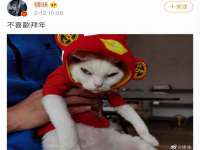 合肥族云信息科技有限公司